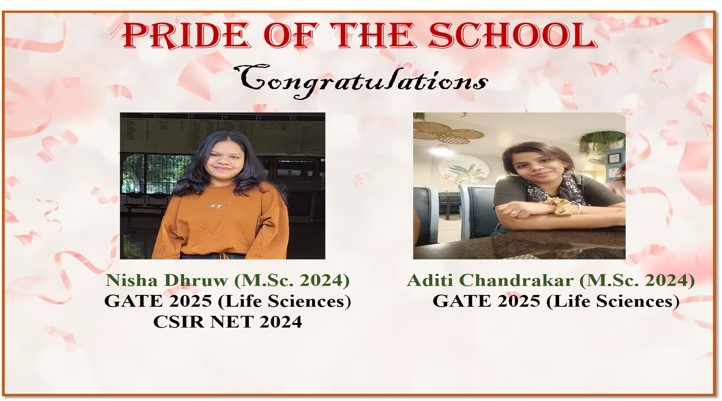 Card image 1